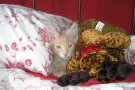 Aragon und Azrael [2007-11-28]